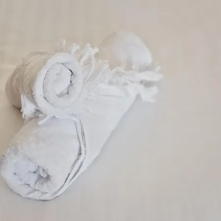 Deux Standing Duplex Proche St. Tropez * Cogolin